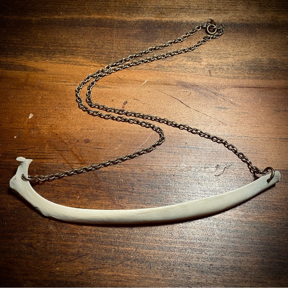 Deer Rib Bone Oxidized Brass Chain Necklace